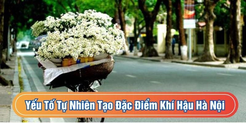 Rất nhiều yếu tố tự nhiên tạo nên đặc điểm khí hậu Hà Nội