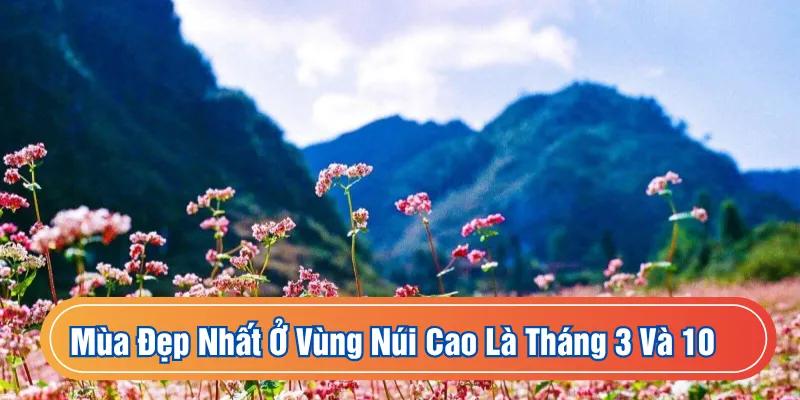 Mùa đẹp nhất ở vùng núi cao là tháng 3 và 10