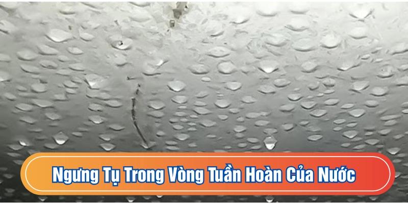 Ngưng tụ là giai đoạn thứ hai trong chu trình