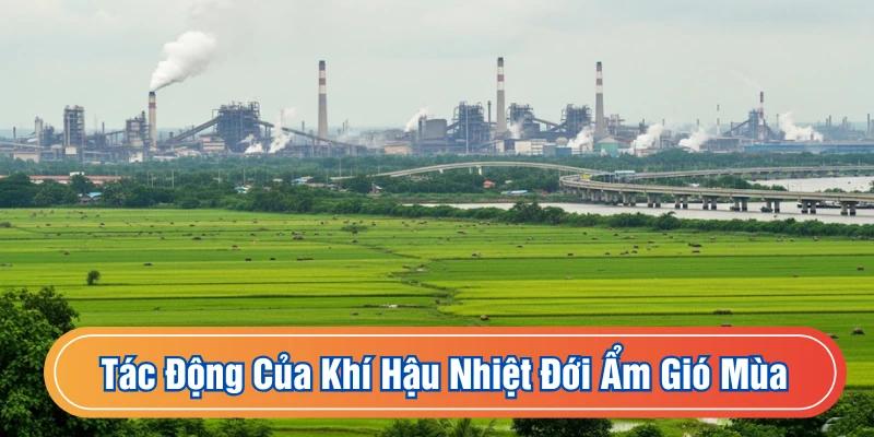 Tìm hiểu tác động của khí hậu nhiệt đới ẩm gió mùa