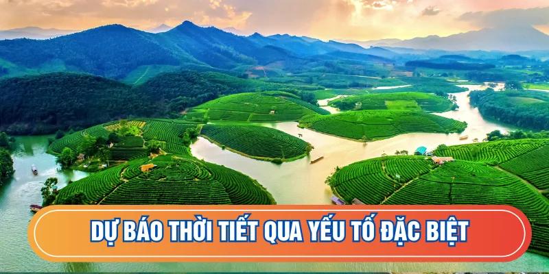 Dự đoán thông qua các yếu tố đặc biệt