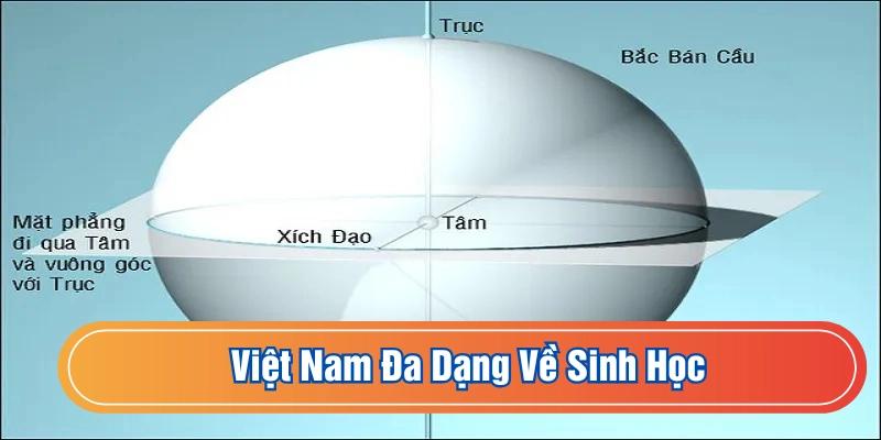 Vĩ Tuyến Là Gì? Bật Mí Vai Trò Thật Sự Trên Trái Đất