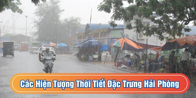 Những hiện tượng đặc trưng của Hải Phòng