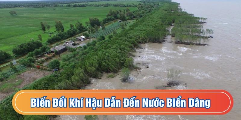 Mực nước biển dâng ảnh hưởng nông nghiệp