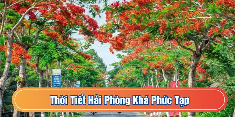 Thời tiết Hải Phòng khá phức tạp