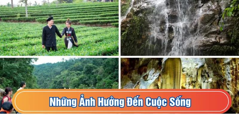 Những ảnh hưởng đến cuộc sống