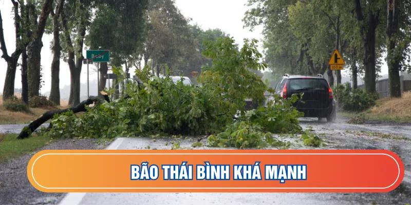 Thời tiết Thái Bình về bão