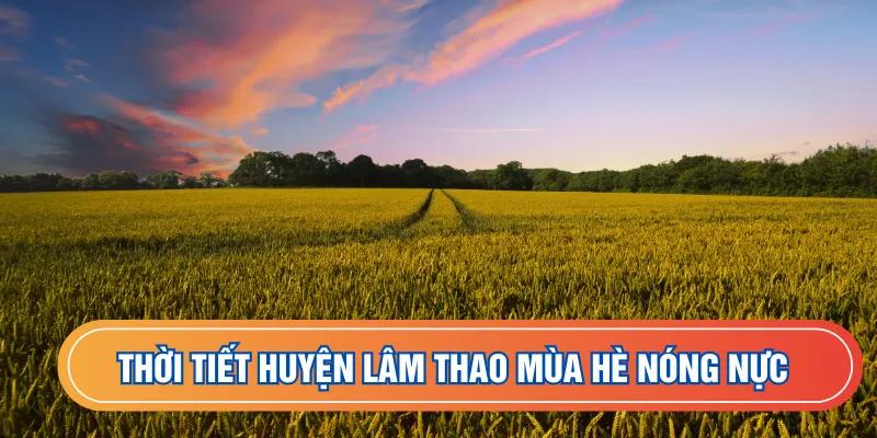 Thời tiết huyện Lâm Thao mùa hè nóng nực