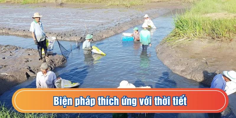 Biện pháp thích ứng với thời tiết