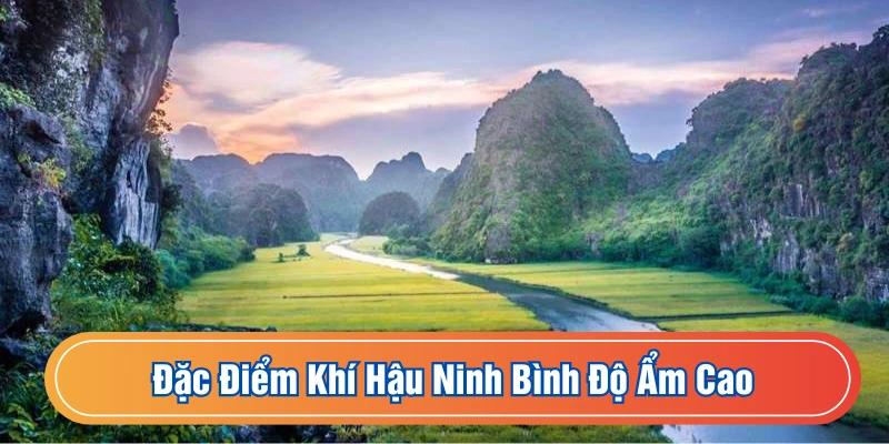 Độ ẩm trong năm luôn ở mức cao