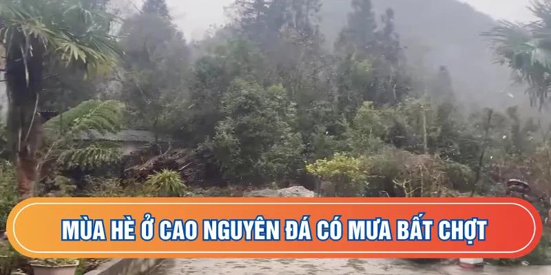 Mùa hè ở cao nguyên đá có mưa bất chợt