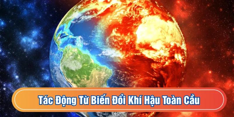 Cần Thơ đang chịu ảnh hưởng cực đoan do biến đổi khí hậu