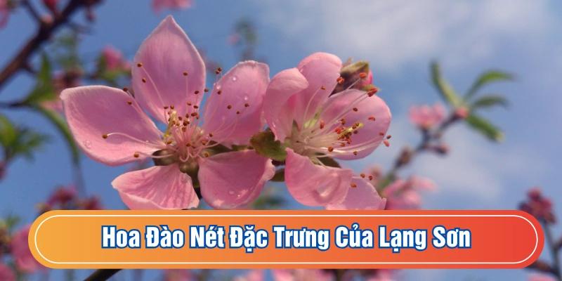 Đặc điểm khí hậu Lạng Sơn giúp trồng đào rất đẹp