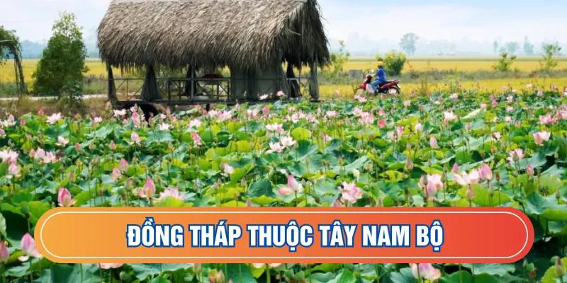 Đồng Tháp thuộc Tây Nam Bộ