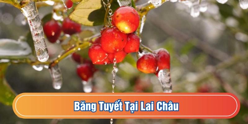 Mùa đông Lai Châu có băng tuyết trên núi