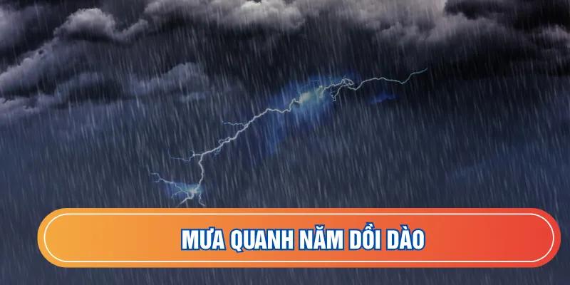 Đánh giá tổng thể lượng mưa