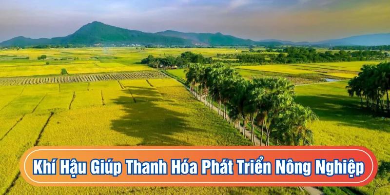 Thanh Hóa phát triển nông nghiệp khá mạnh