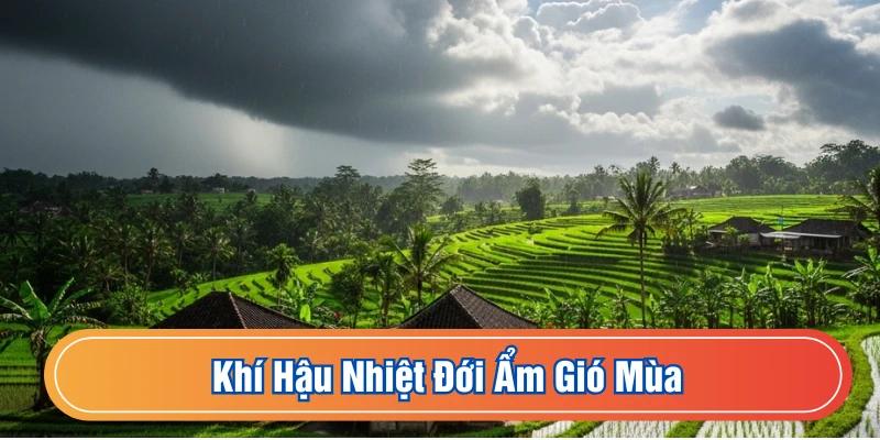 Khí hậu nhiệt đới ẩm gió mùa đặc trưng của vùng có nhiệt độ cao và lượng mưa lớn