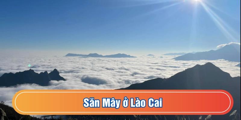Săn mây ở Lào Cai