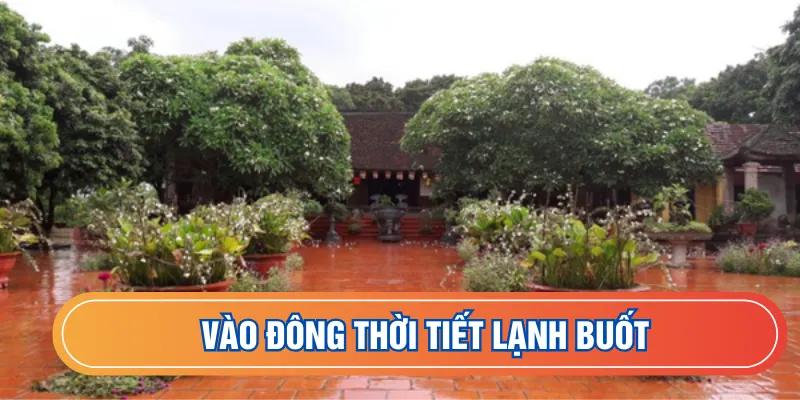 Vào đông thời tiết lạnh buốt
