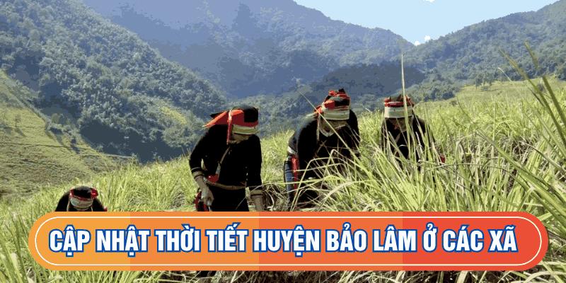 Cập nhật thời tiết huyện Bảo Lâm ở các xã