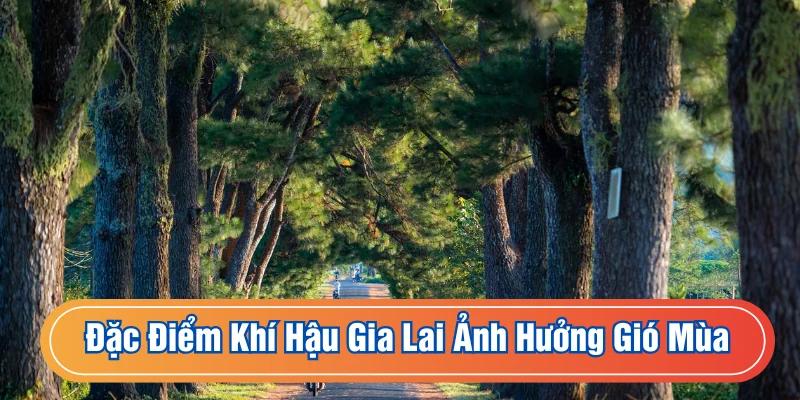 Ảnh hưởng gió tạo nên sự thay đổi của thời tiết vùng đất