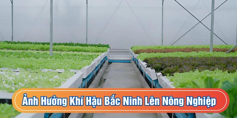 Người dân phải áp dụng thêm nhà kính vào sản xuất nông nghiệp