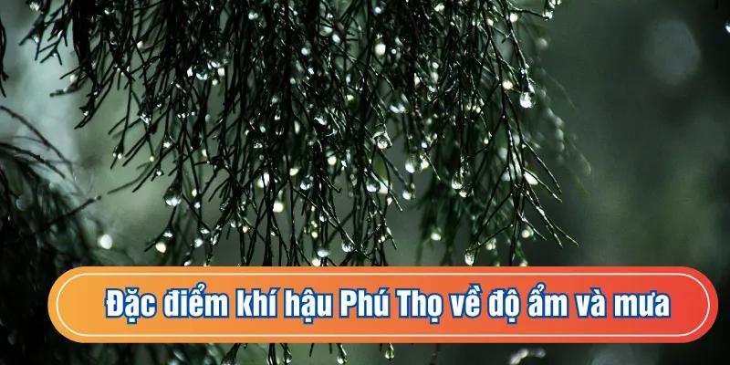Đặc điểm khí hậu Phú Thọ về mưa và độ ẩm