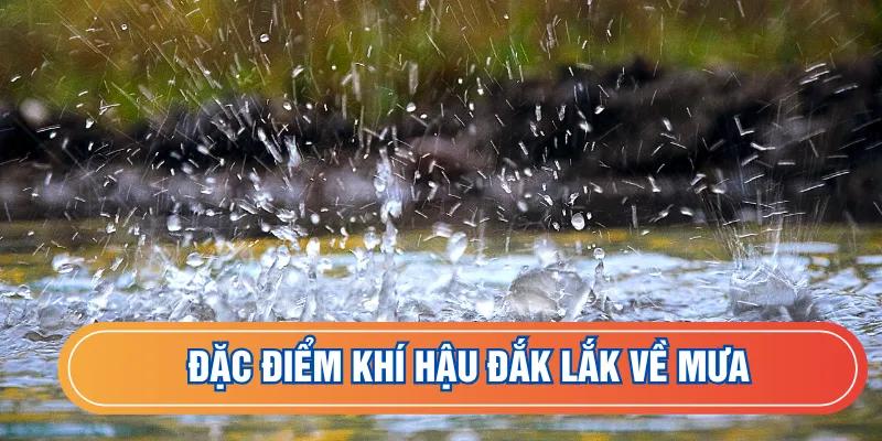 Đặc điểm khí hậu Đắk Lắk về lượng mưa