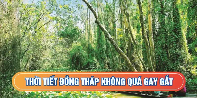Thời tiết Đồng Tháp không quá gay gắt