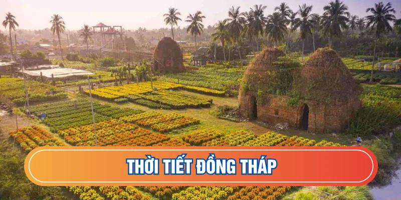 Dự báo thời tiết Đồng Tháp