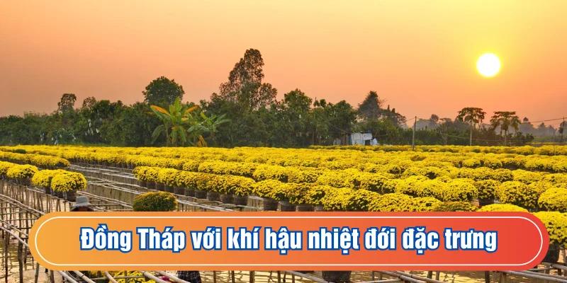 Tìm hiểu đặc điểm khí hậu Đồng Tháp