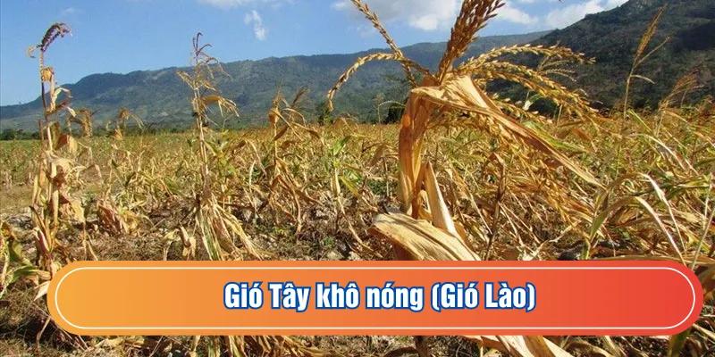 Gió tây khô nóng ở miền Trung