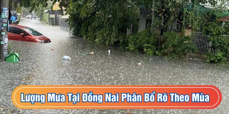 Mưa tại Đồng Nai phân bổ rõ rệt 2 giai đoạn