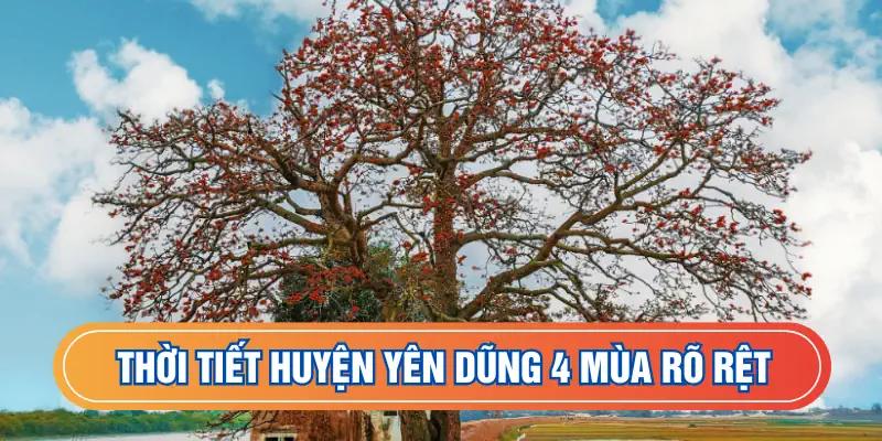 Thời tiết huyện Yên Dũng 4 mùa rõ nét