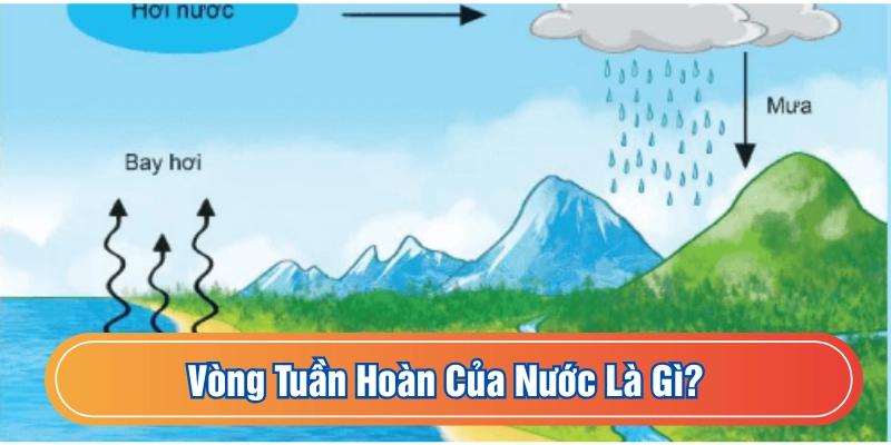 Vòng tuần hoàn của nước là một hành trình không ngừng