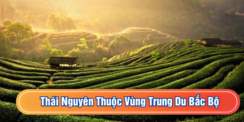Thái Nguyên nằm ở vùng đông bắc nước ta