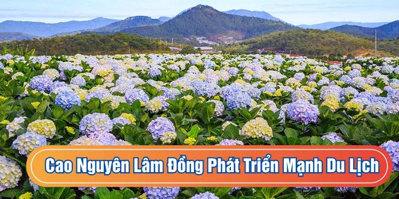 Khu vực cao nguyên là điểm đến yêu thích của các du khách