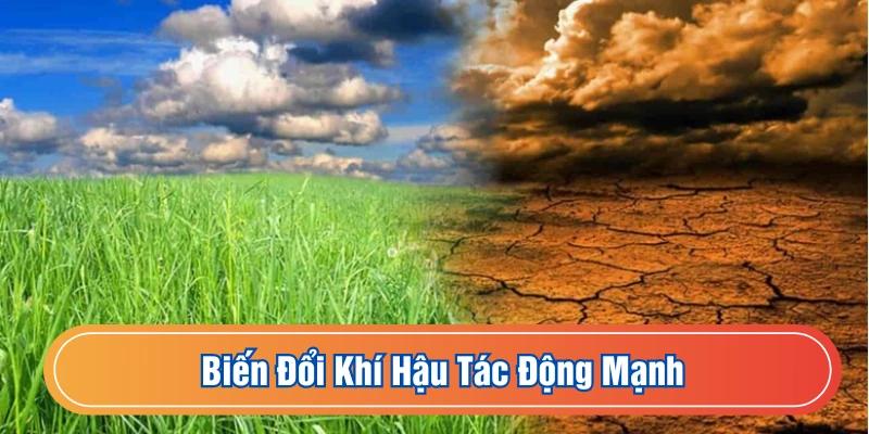 Những ảnh hưởng lớn của biến đổi khí hậu đến Hưng Yên