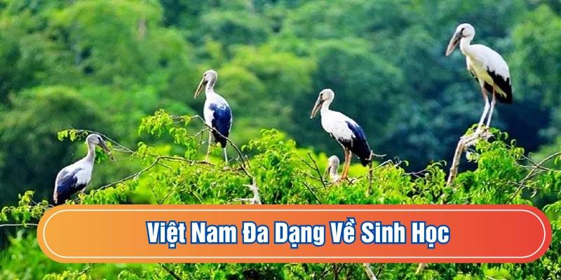 Đa dạng về sinh học
