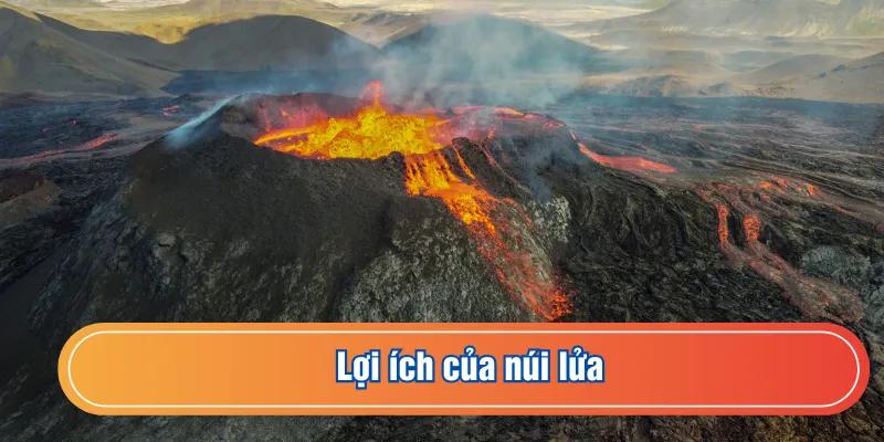 Tổng hợp lợi ích với thiên nhiên