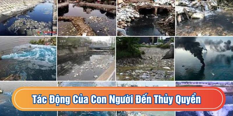 Rất nhiều hành động của con người ảnh hưởng đến thủy quyển