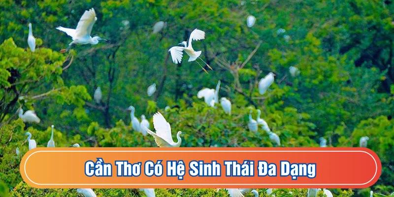 Được thiên nhiên ưu ái với hệ sinh vật phong phú, phát triển đa ngành nghề