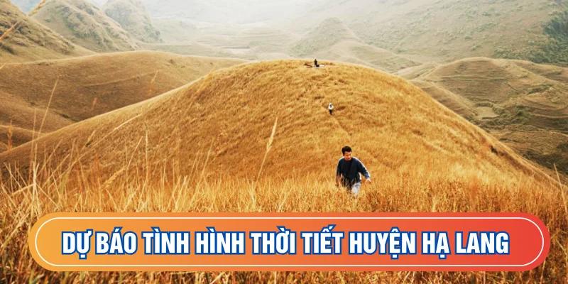Dự báo thời tiết Hạ Lang chính xác