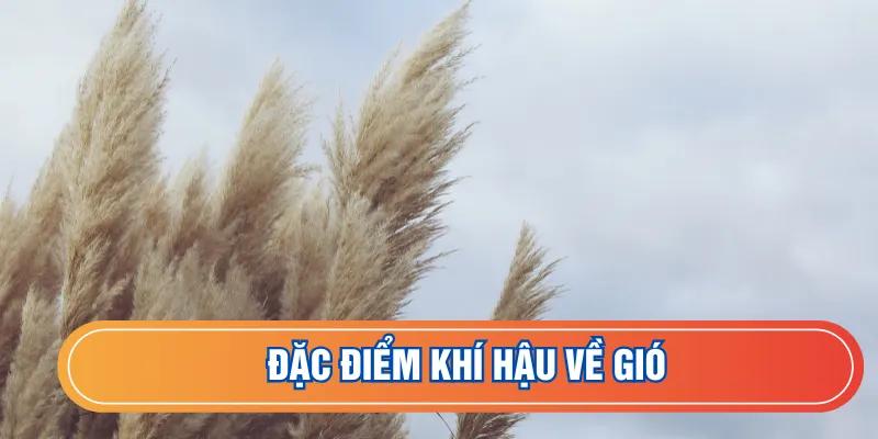 Chế độ gió nổi bật của tỉnh
