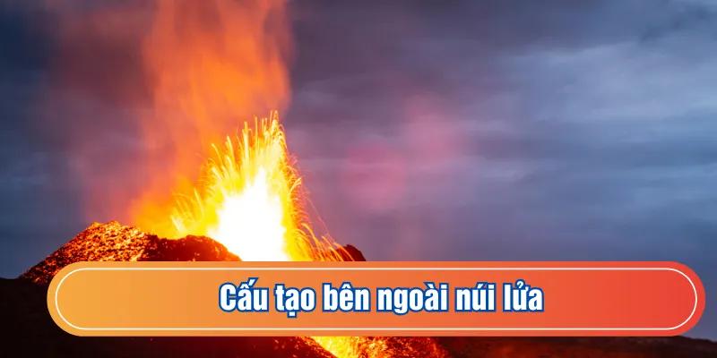 Cấu tạo bên ngoài chi tiết