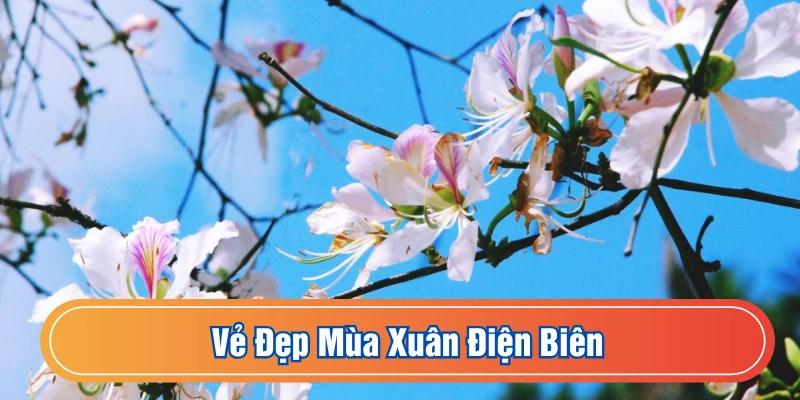 Điện Biên vào xuân rất đẹp