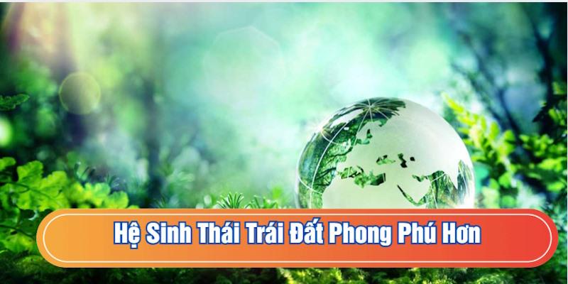 Ý nghĩa của vị trí đặc biệt với hệ sinh thái
