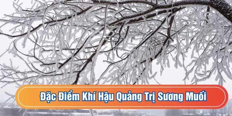 Sương muối hay xuất hiện ở mùa đông