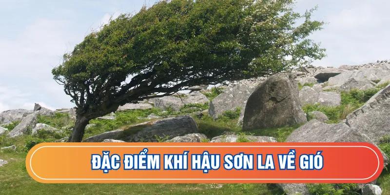 Sơn La có hai kiểu gió đặc trưng
